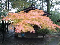 �����������������C���[�W